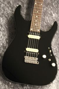Kino treebud 24F 2H Alder/Vega Trem Bridge/Evertone PU/Jet Black 【エバートーンPU搭載】【ベガトレム搭載】