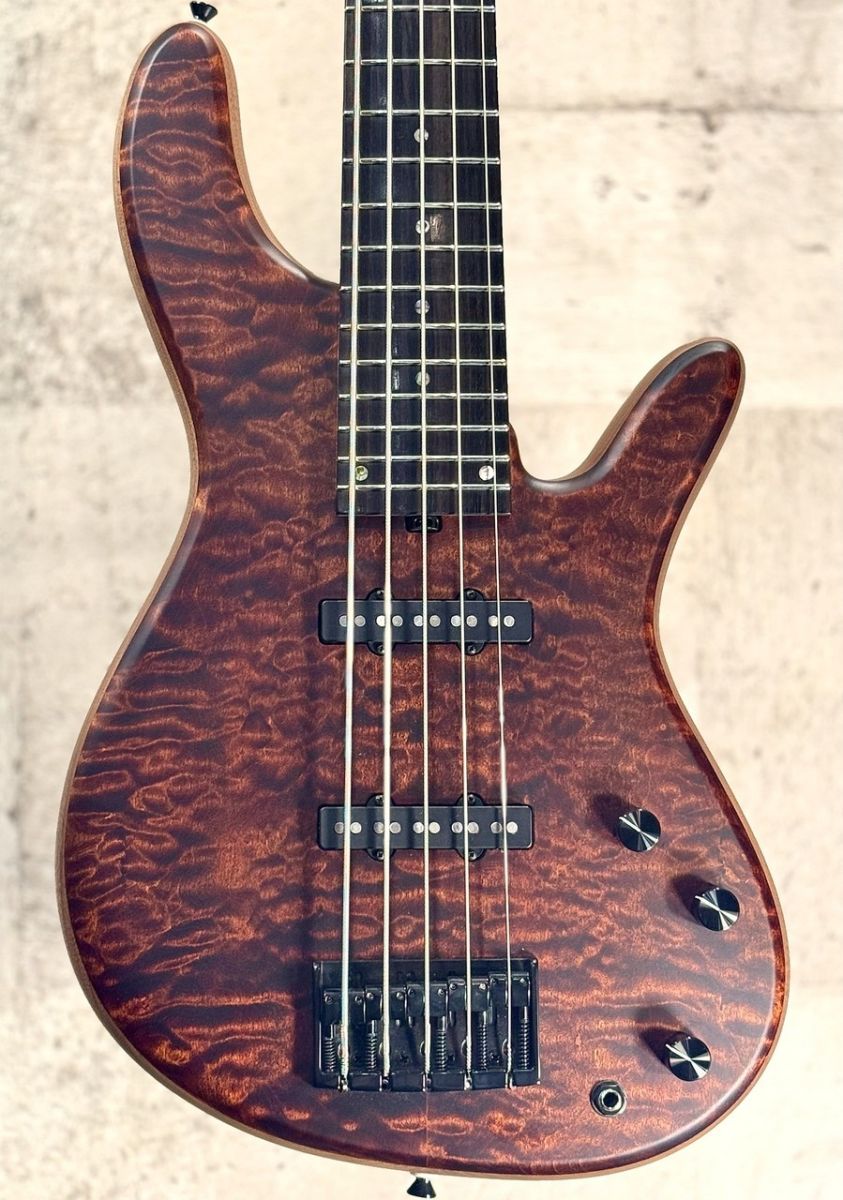 Esperanza 5st 24F -See Through Brown- | 【クロサワ楽器店