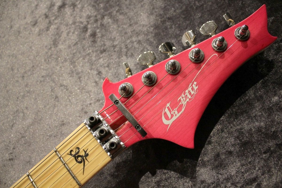 DSG Life Ash Coral Pink Burst | 【クロサワ楽器店オンライン