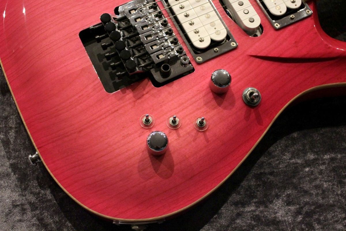 DSG Life Ash Coral Pink Burst | 【クロサワ楽器店オンライン