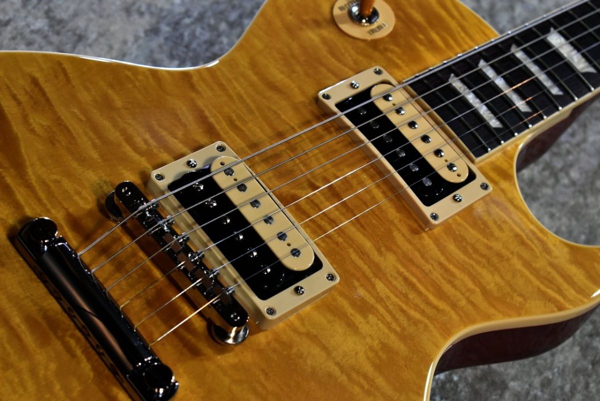 Slash Les Paul Standard Appetite Amber #207850232 | 【クロサワ楽器