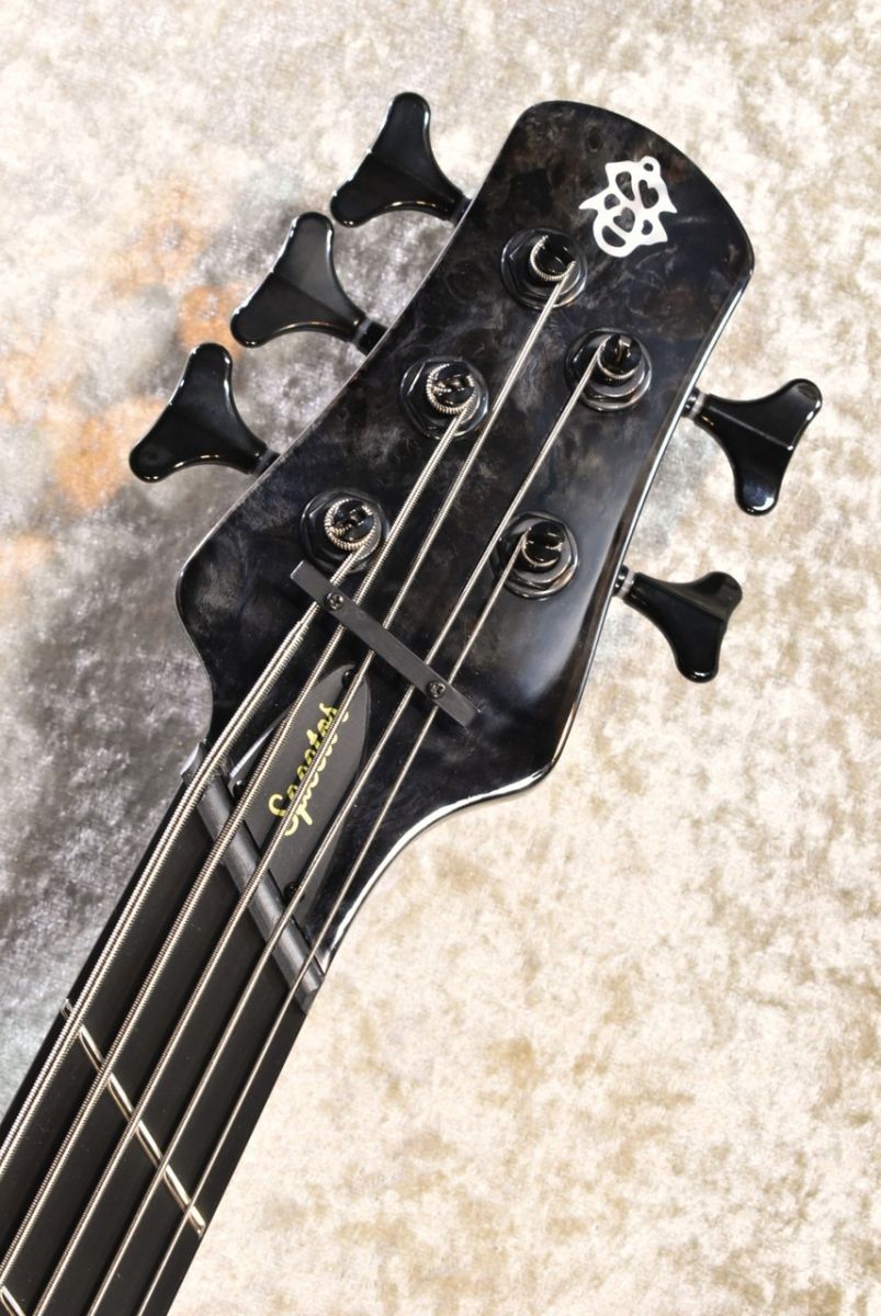NS Dimension MS 5 Gloss EE -TBK- | 【クロサワ楽器店オンライン