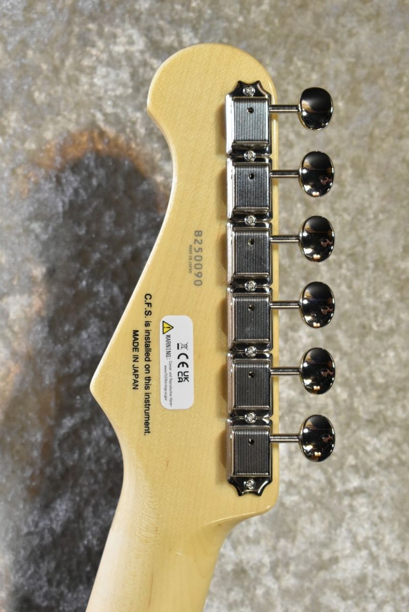 KNST100MRAL Old Lake Placid #B250090 | 【クロサワ楽器店