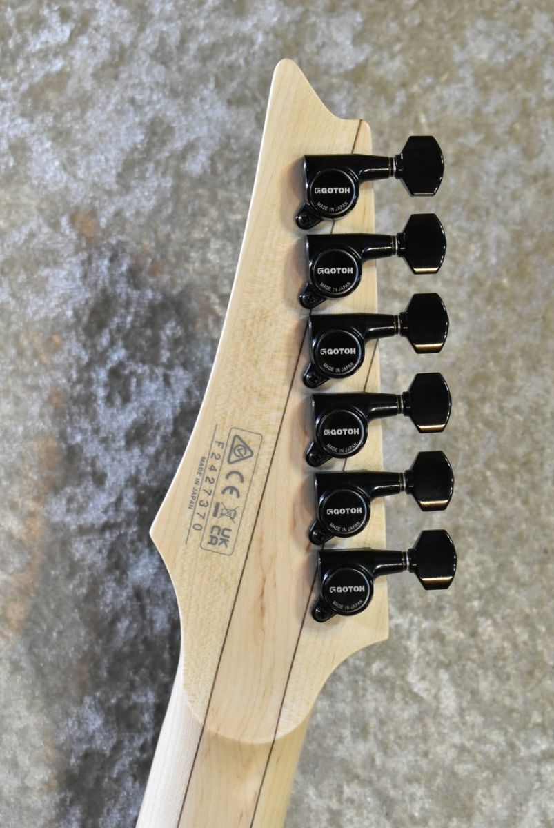 GENESIS COLLECTION RG550 Electric Blue #F2427370 | 【クロサワ楽器