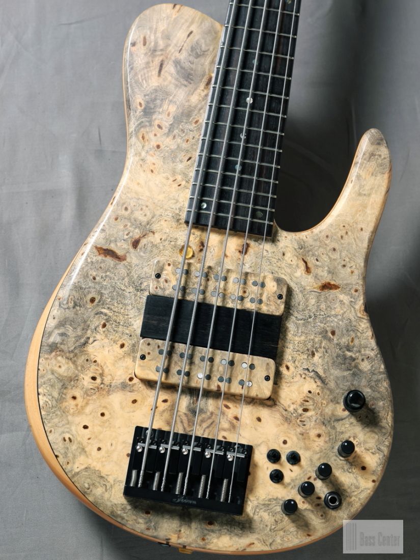 Imperial 5 Elite MG Shape | 【クロサワ楽器店オンラインショップ