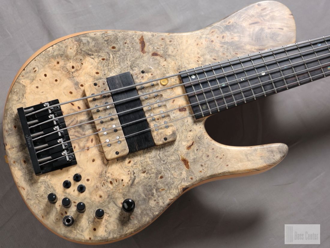 Imperial 5 Elite MG Shape | 【クロサワ楽器店オンラインショップ