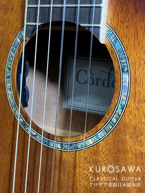 コルドバ C4-CE Edge Burst | 【クロサワ楽器店オンラインショップ