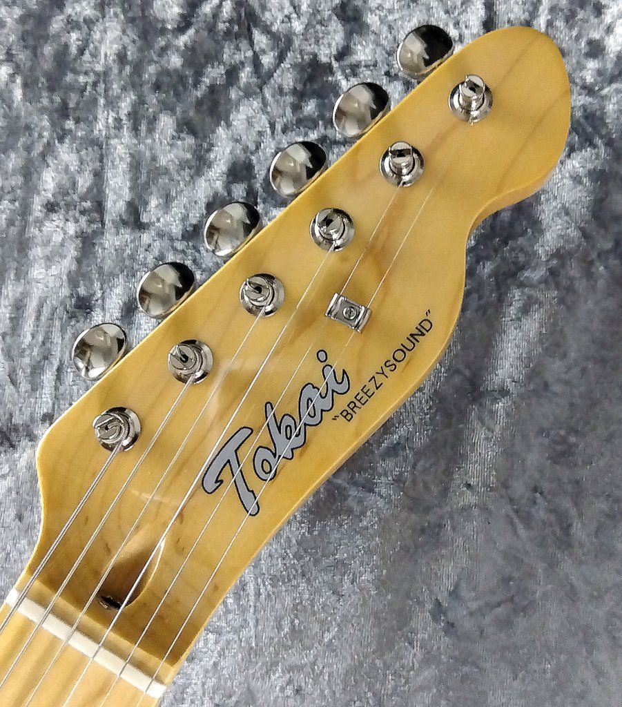 Rosa C10/RS-TG アコースティックギター ナチュラル Rogue ( ローグ ) Rogue Starter Acoustic Guitar Pink 送料無料