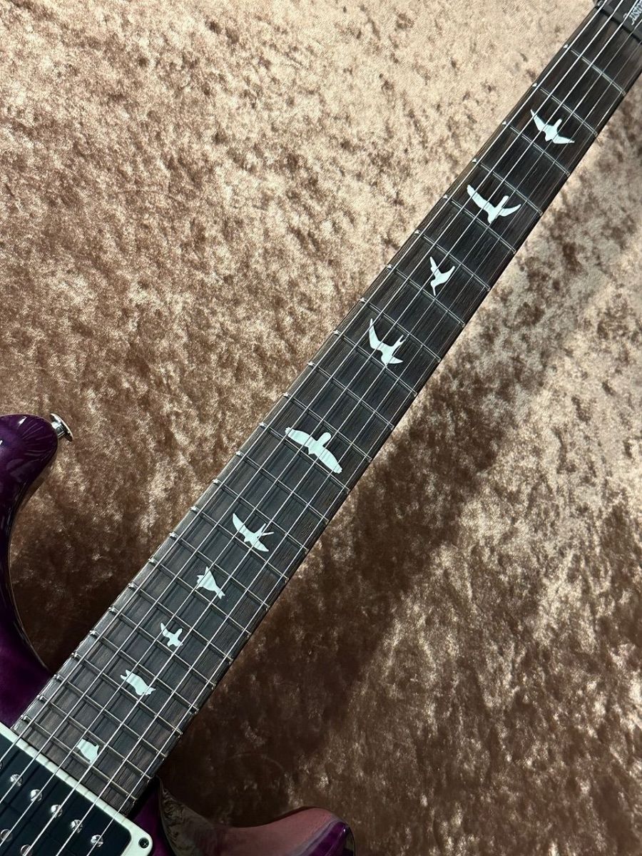 S2 Custom24 - Faded Gray Black Purple Burst - | 【クロサワ楽器店