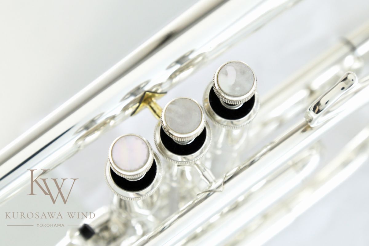 管楽器・吹奏楽器 Richard TP80SP 