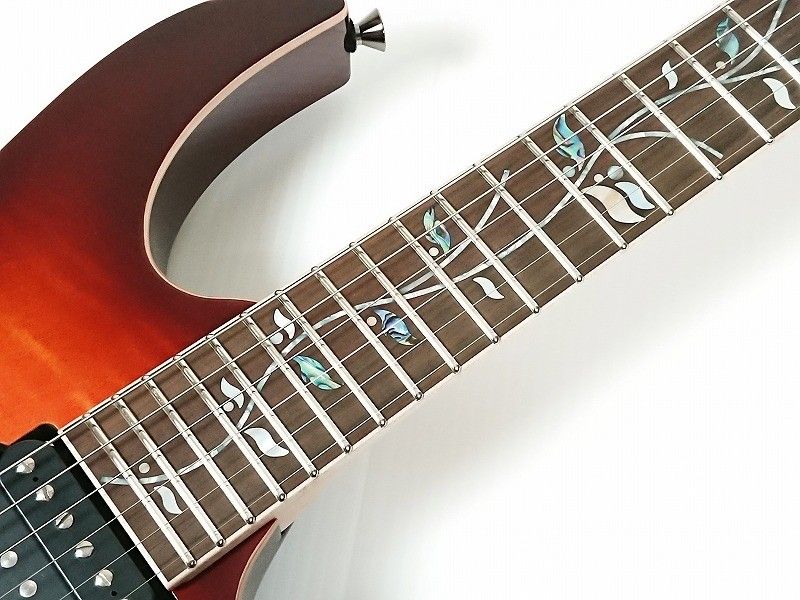 日本製】【Ibanezの最高峰モデル j.custom】RG8570 -Brownish