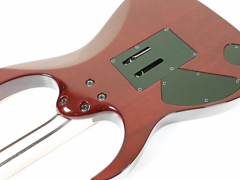 日本製】【Ibanezの最高峰モデル j.custom】RG8570 -Brownish