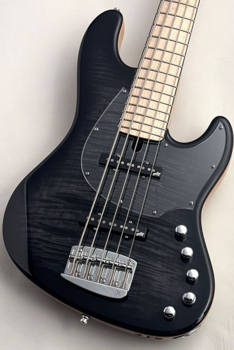 Jabba Custom 725 5 -Trans Graphite-Burst Gloss- | 【クロサワ楽器店