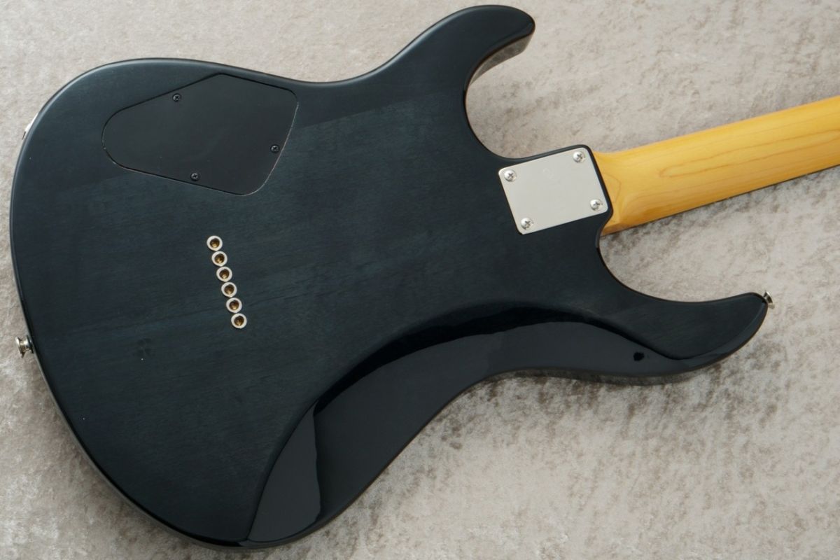 PACIFICA PAC611HFM -Translucent Black / TBL- #ILJ124347