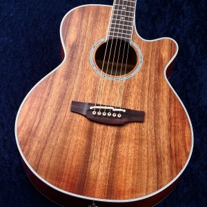 Yahoo!オークション -「takamine pt407」の落札相場・落札価格