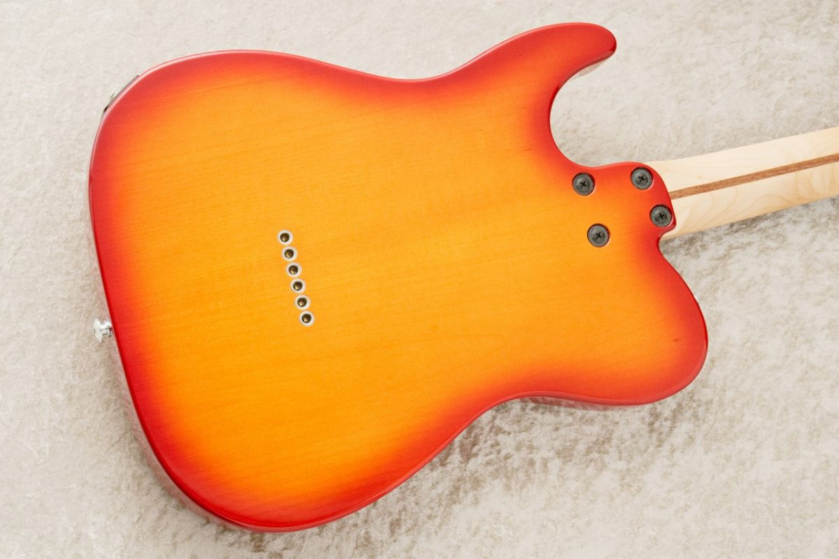 WST-STD #A016634 | 【クロサワ楽器店オンラインショップ】いい楽器と