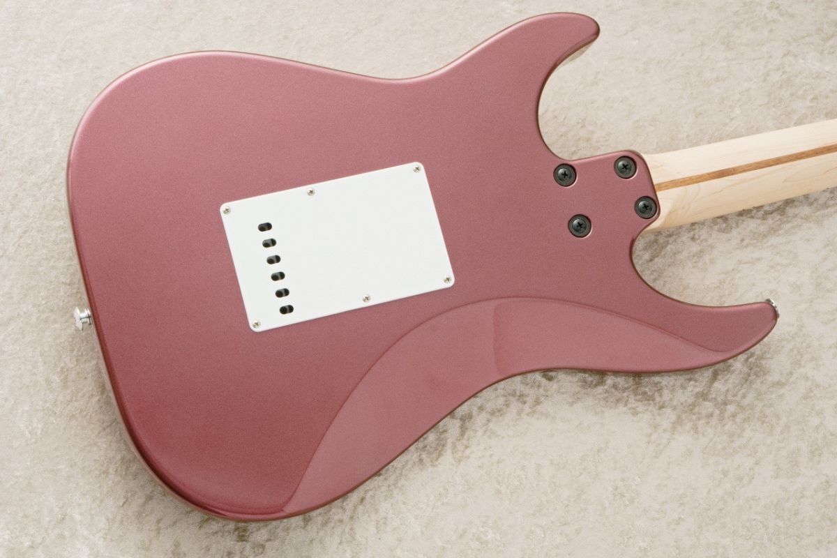 WS-STD #A013065 | 【クロサワ楽器店オンラインショップ】いい楽器との