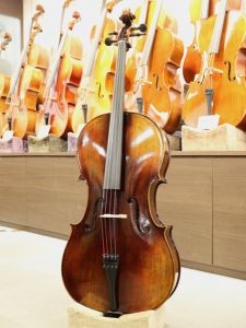 Bjorn Stoll 【チェロ】 Bjorn Stoll Stradivari Model 【横浜店】