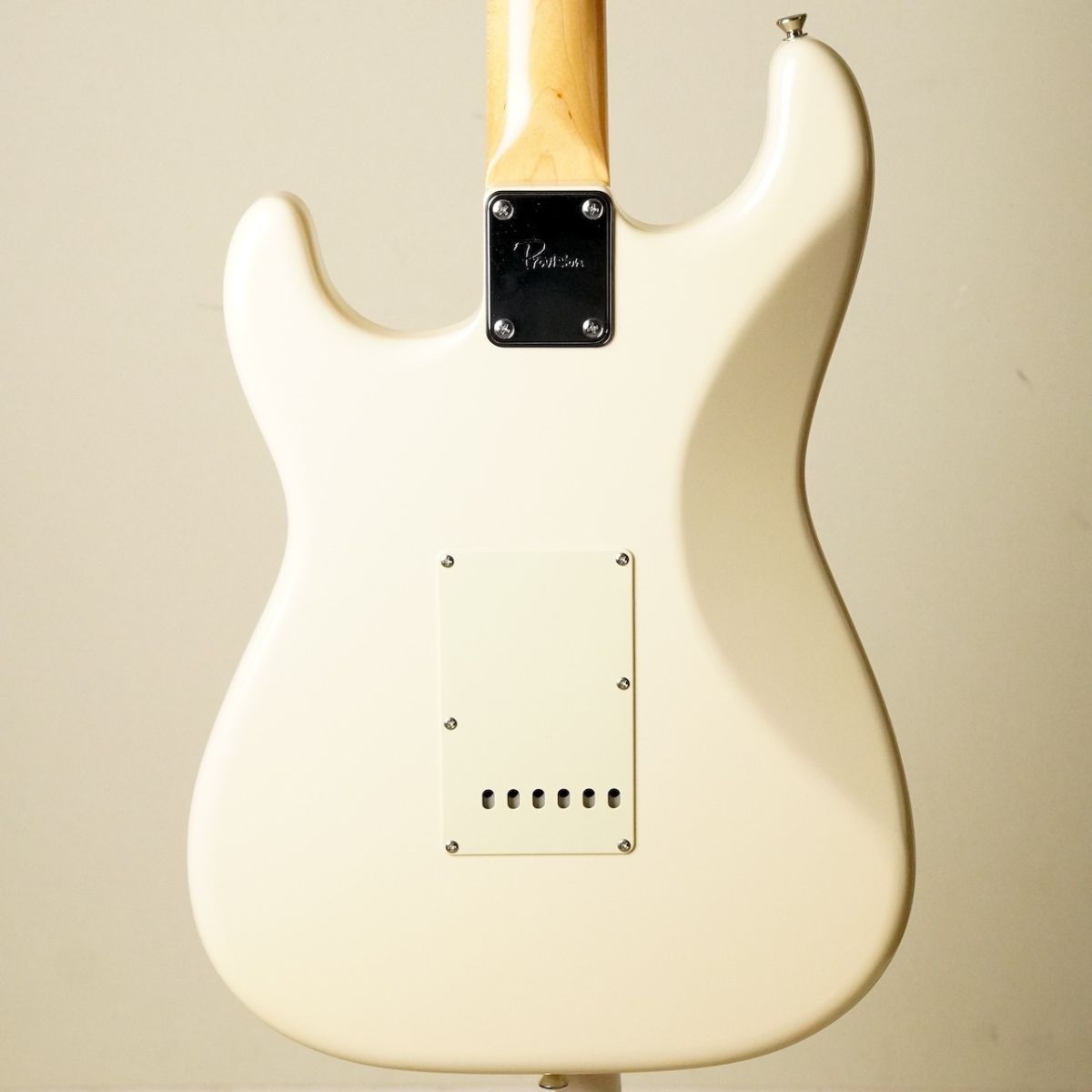 Provision プロビジョンギター VTE-RELIC-#001-J-ALD 3TS