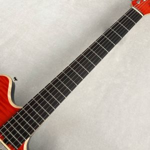 ALBA Hollow HH Trans Orange | 【クロサワ楽器店オンラインショップ