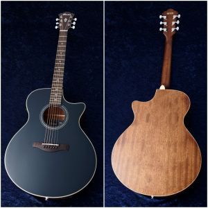 AE100-DBF | 【クロサワ楽器店オンラインショップ】いい楽器とのいい