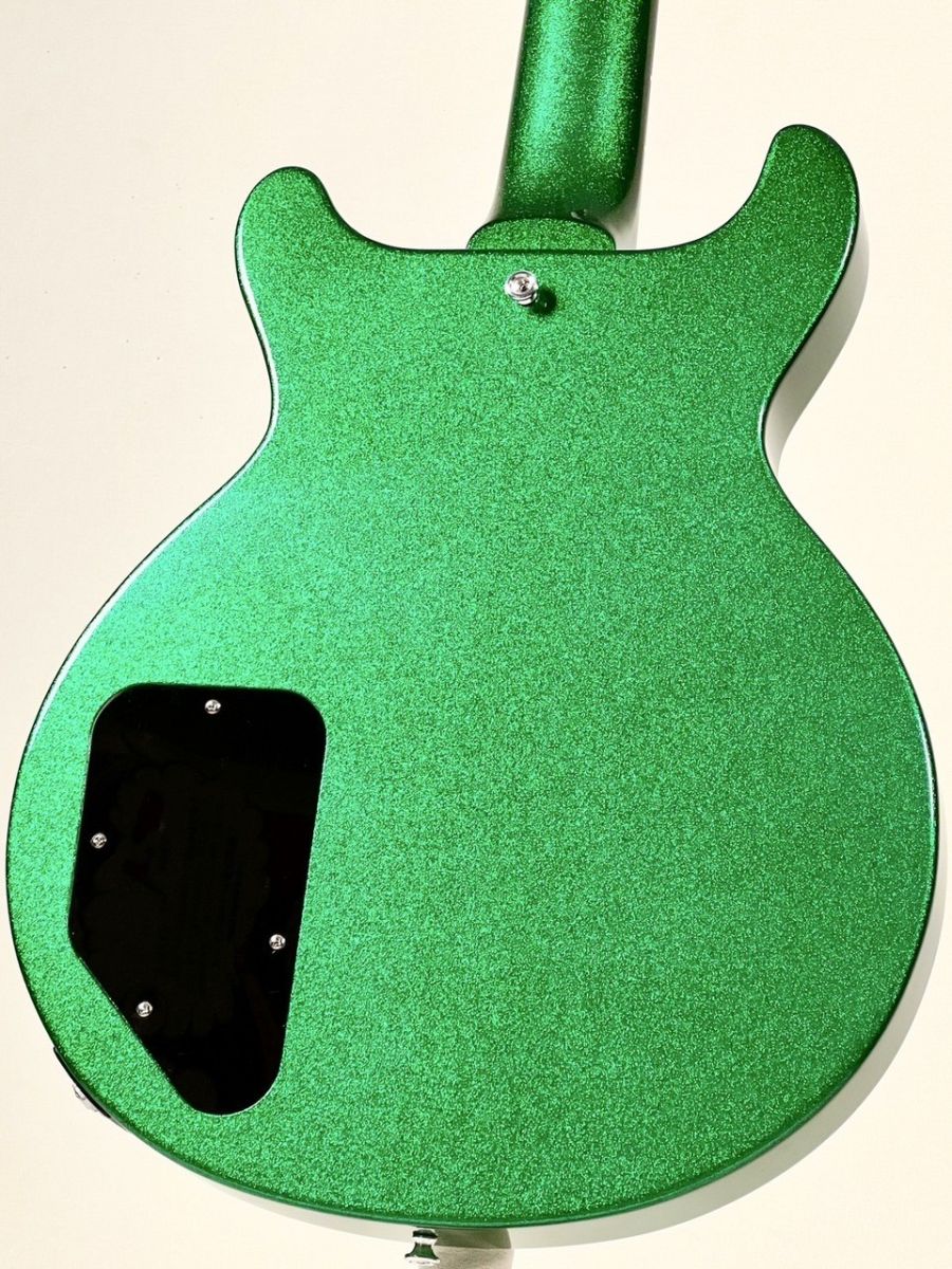 きみどり色 カワサキ（KAWASAKI）1999年 Ninja ZX-9R・カラーチェンジのカタログ