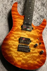 bill..lawrenceエレキギター! Bill Lawrenceのエレキギター検索結果一覧 | 【クロサワ楽器店