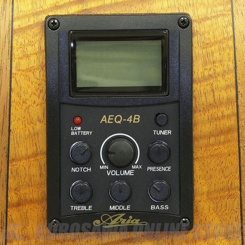 アンプラグで活躍！Aria Elecord FEB-02 エレアコベース アンプラグで活躍！Aria Elecord FEB-02 エレアコベース