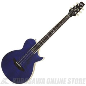 アリアプロ2 アコースティックギター 楽天市場】エレアコ（シリーズAria Pro II（荒井貿易））の通販