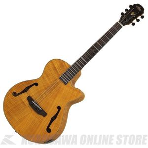 アリアプロ2 アコースティックギター Aria Pro II ギター徹底解説：その特徴とメリット・デメリット