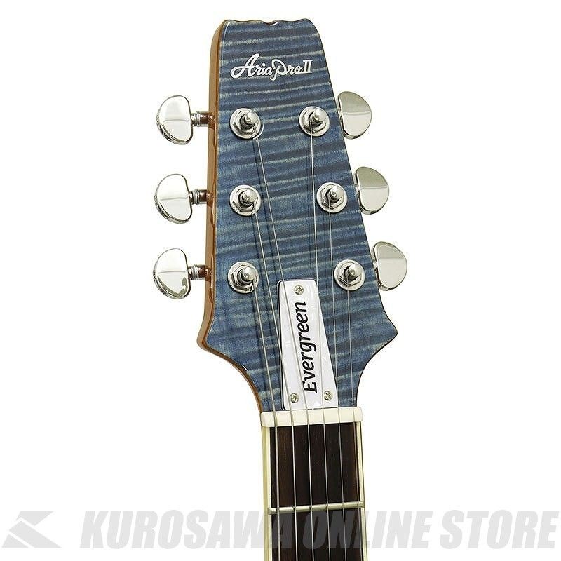 PE-AE200 LRBL AE -Aria Evergreen- エレクトリックギター (ご予約受付