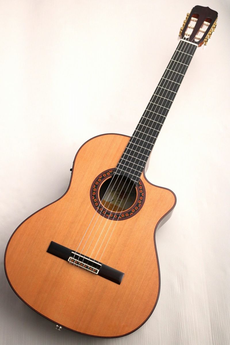 Estudio 140 CWE Cedar #162 | 【クロサワ楽器店オンラインショップ