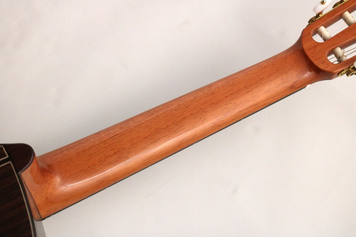 Estudio 140 CWE Cedar #162 | 【クロサワ楽器店オンラインショップ