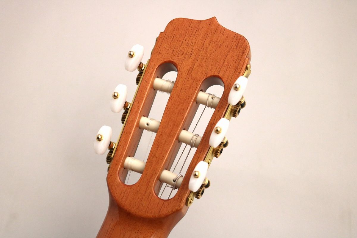 Estudio 140 CLS Spruce | 【クロサワ楽器店オンラインショップ】いい