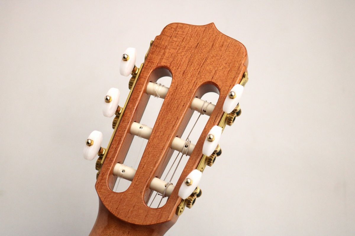 Estudio 140 CLS Cedar | 【クロサワ楽器店オンラインショップ】いい