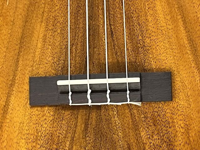 IL-TEN-4KGG | 【クロサワ楽器店オンラインショップ】いい楽器とのいい