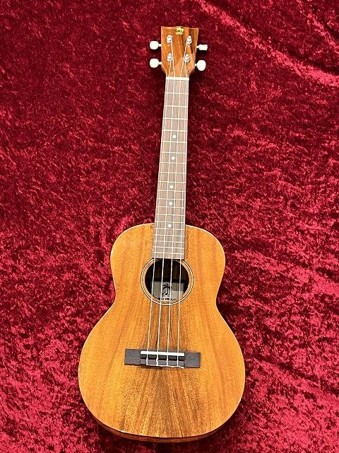 IL-TEN-4KGG | 【クロサワ楽器店オンラインショップ】いい楽器とのいい