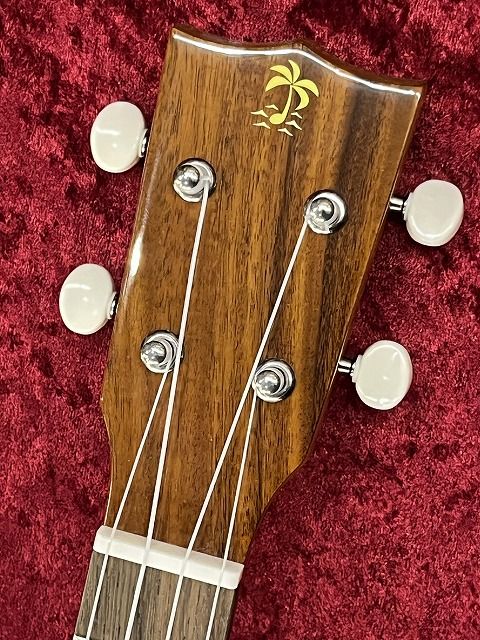 IL-TEN-4KGG | 【クロサワ楽器店オンラインショップ】いい楽器とのいい