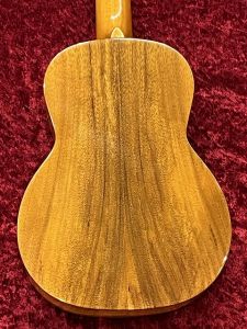 IL-TEN-4KGG | 【クロサワ楽器店オンラインショップ】いい楽器とのいい