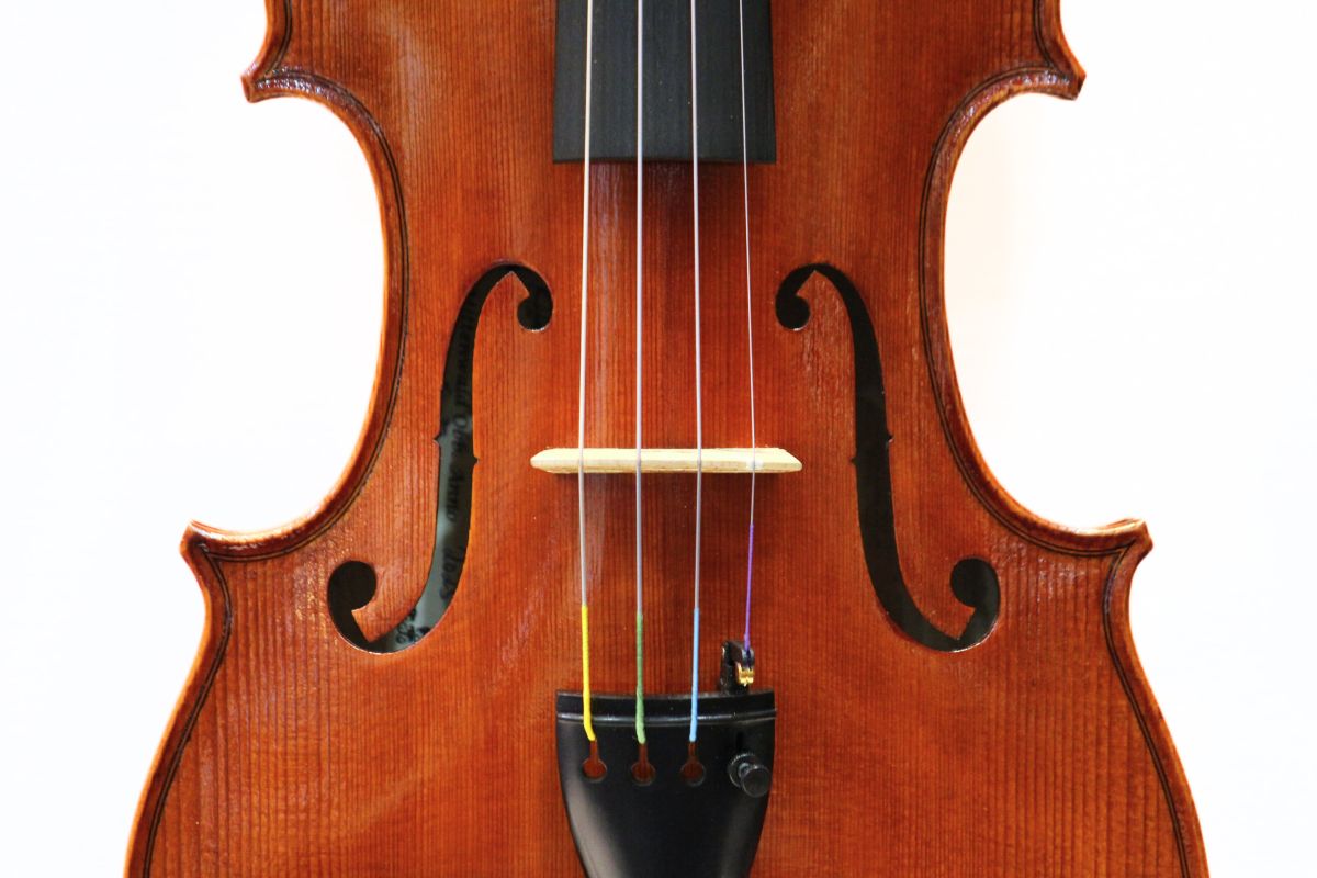 ドイツ製ヴァイオリン Julia L.Klotz No.80 | 【クロサワ楽器店オンラインショップ】いい楽器