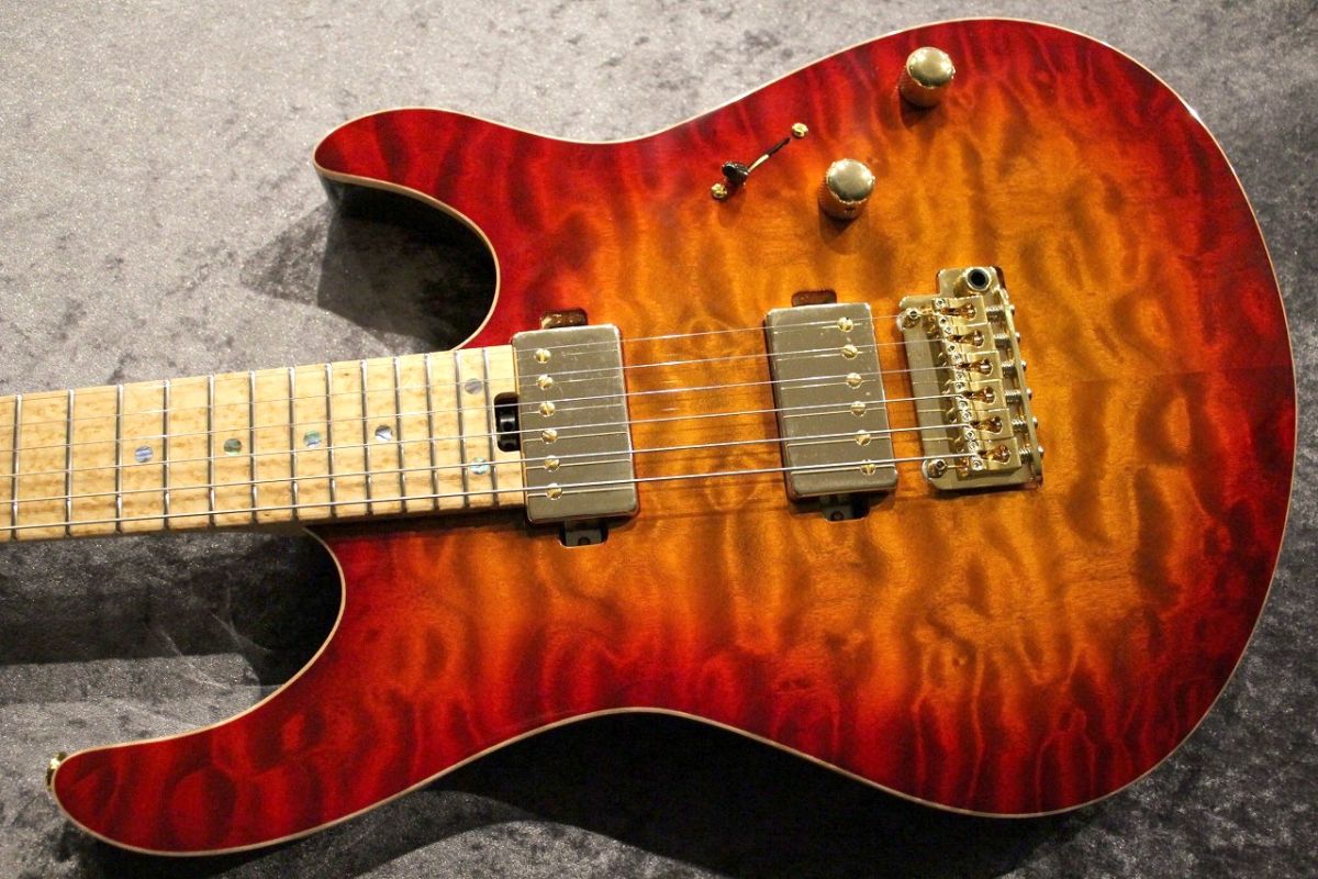 <演奏可能！>アプローズEN12 スペイン風オリジナルアート仕様 Amazon.co.jp: ESP LONG WAY-II BULL ZEICHEN 88 ”IKUO” Model