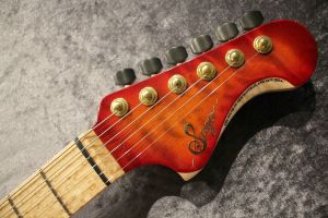 Custom Order Modern Style Ash/Birdseye Maple Neck Inferno