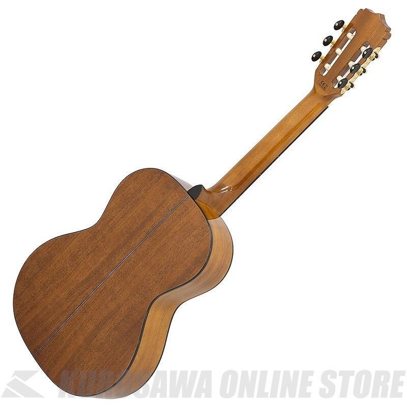 ◾️極美品 Aria アコースティックギター ◾️ソフトケース・教本2冊付 ◾️極美品 Aria アコースティックギター ◾️ソフトケース