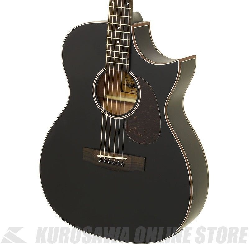 【極美品】Aria 101CE MTCS エレアコ ARIA/エレアコ Aria-101CE MTCS (Cherry Sunburst, Matt