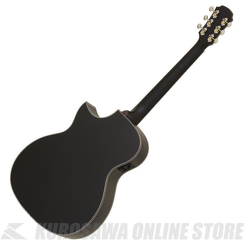 【極美品】Aria 101CE MTCS エレアコ takeya-g_aria101ce