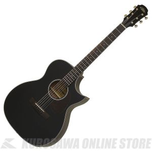 ARIA、3万円～5万円未満のアコースティックギター検索結果一覧