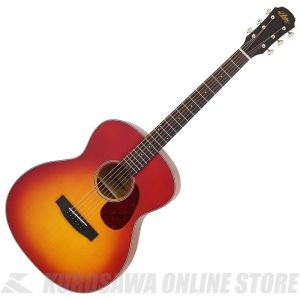 ☆Aria アコースティックギター Model W-180 Aria&Co.