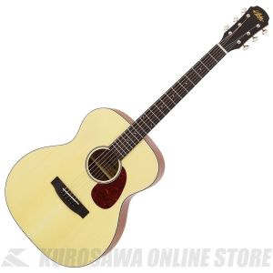 1万円～3万円未満のアコースティックギター検索結果一覧