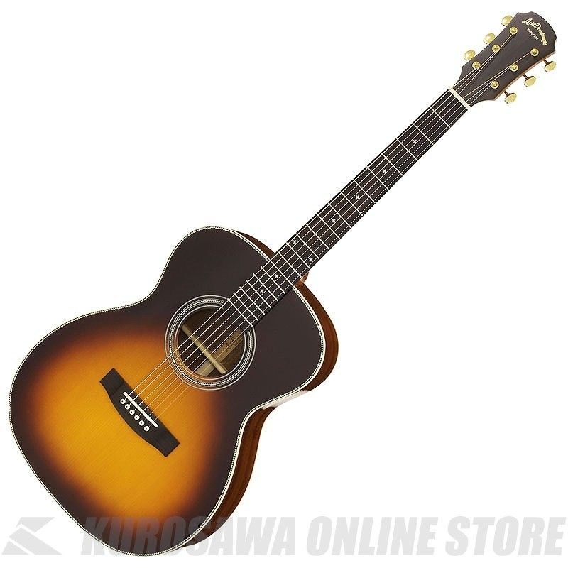 アコースティックギター aria af501 AF-501 TS | 【クロサワ楽器店オンラインショップ】いい楽器とのいい