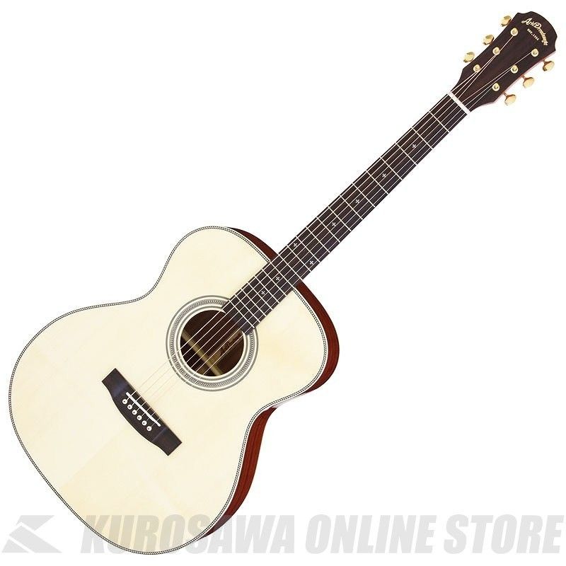 Aria系 ノーブランド アコースティックギター ARIA（アリア） アコースティックギター アコギ 初心者 超入門 9点